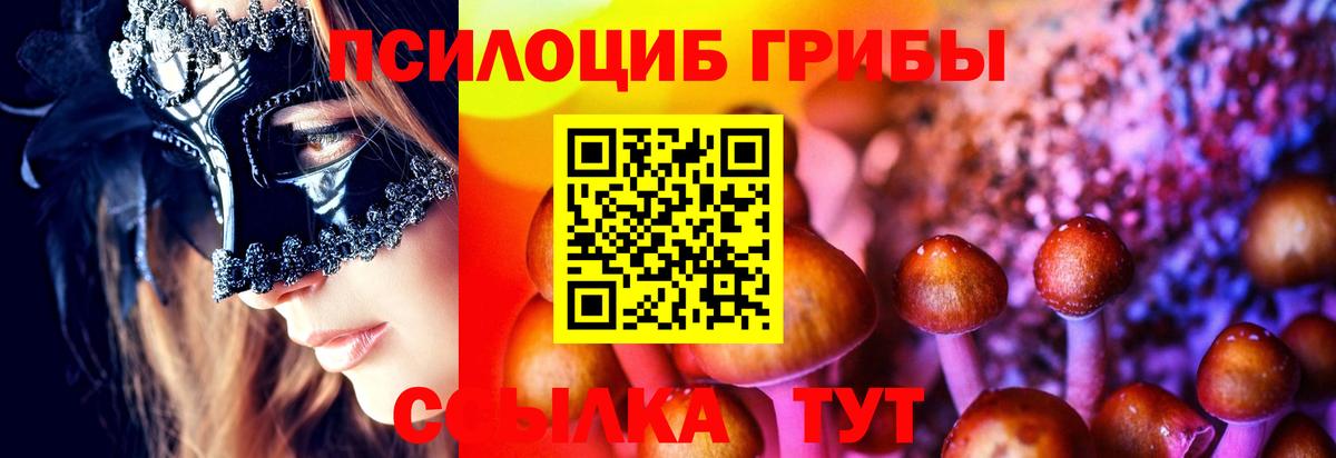 Псилоцибиновые грибы Magic Shrooms  Вход с VPN  Нижний Новгород  Псилоцибиновые грибы Cubensis 